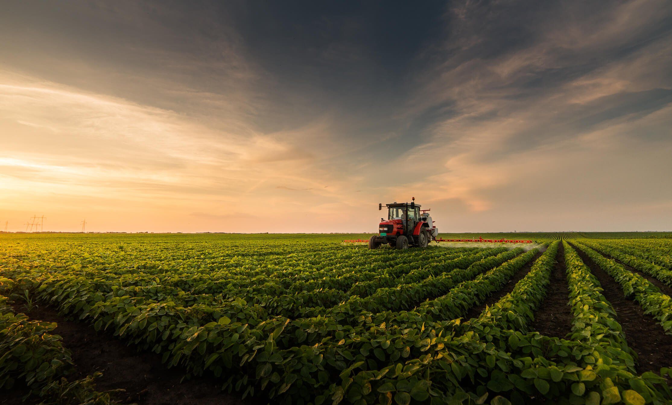An Inside Look at the Smarterra AgriFood Ecosystem Accelerator 
